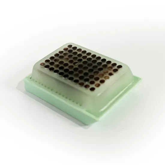 Одноразовые медикаментозные поставки блок микрочипа ткани, используемый для изучения материалов научных исследований